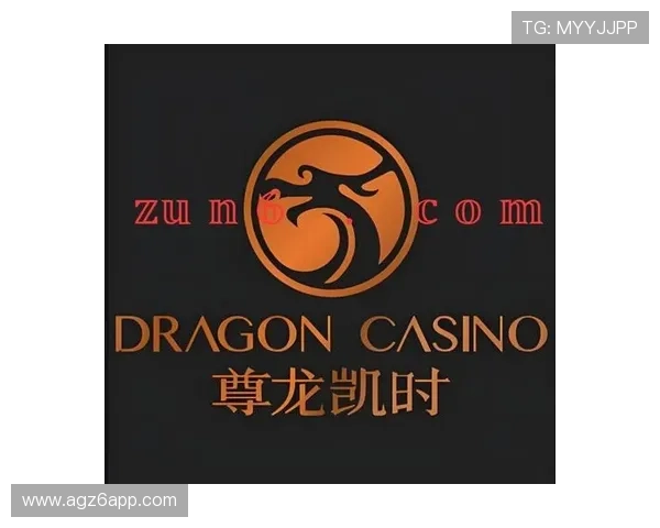 深入了解尊龙凯时手机版会员登录的各项优势与特点